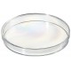 Petri Dish 140mm diameter, triple vent, PS, 1 * 80 items